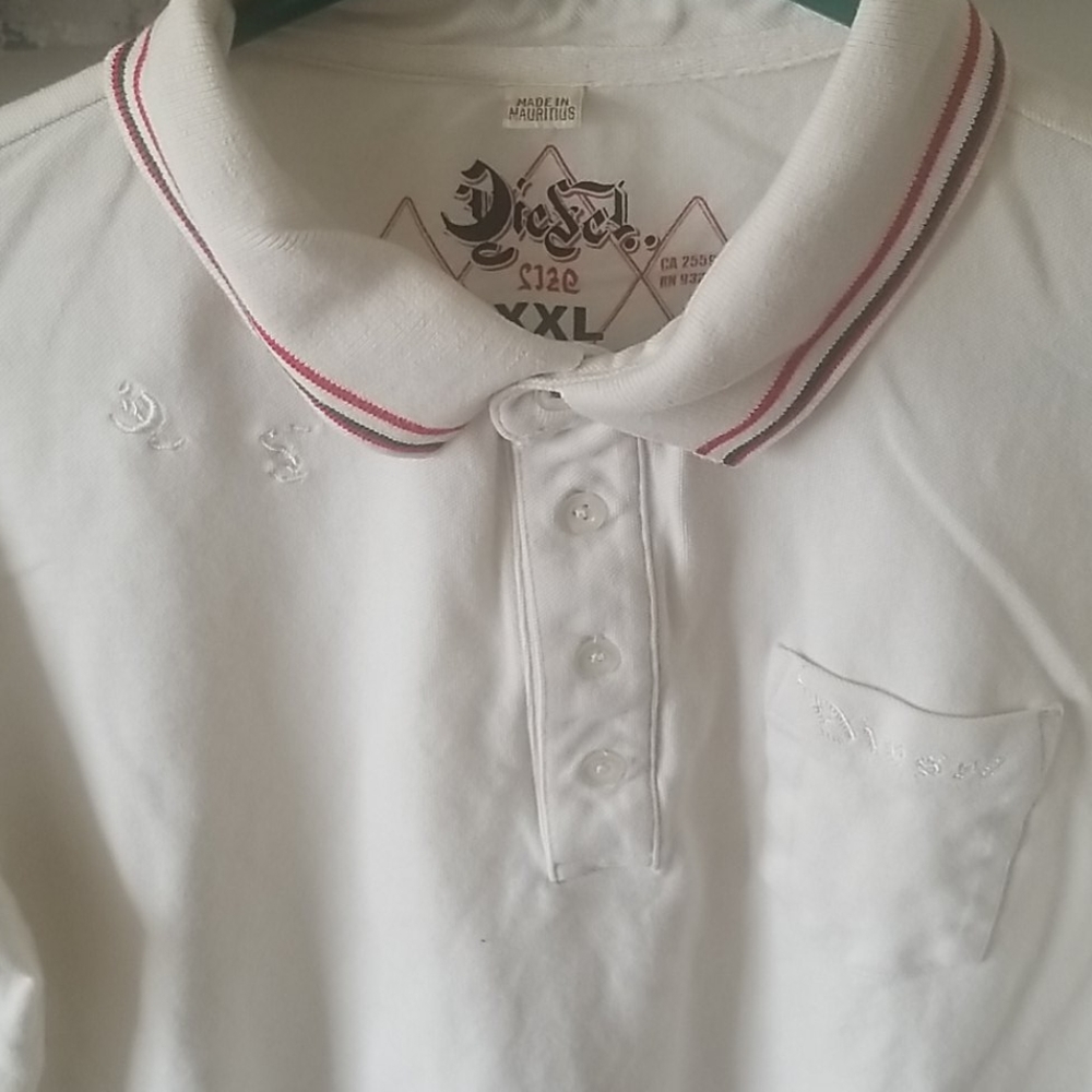 Diesel Polo - Picture 2 of 6